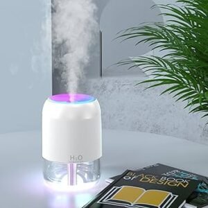 Humidificateur et Diffuseur d’Arômes Portable H₂O